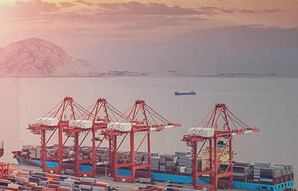 海運(yùn)公司有幾種類型？