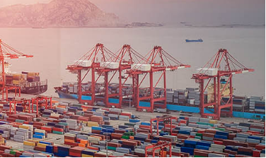 淺談上海港進口報關(guān)的發(fā)展趨勢